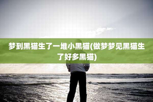 梦到黑猫生了一堆小黑猫(做梦梦见黑猫生了好多黑猫)