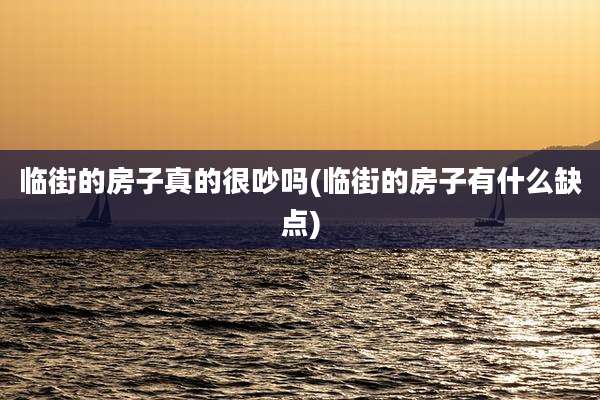 临街的房子真的很吵吗(临街的房子有什么缺点)