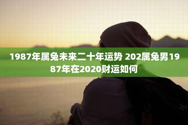 1987年属兔未来二十年运势 202属兔男1987年在2020财运如何