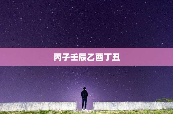丙子壬辰乙酉丁丑