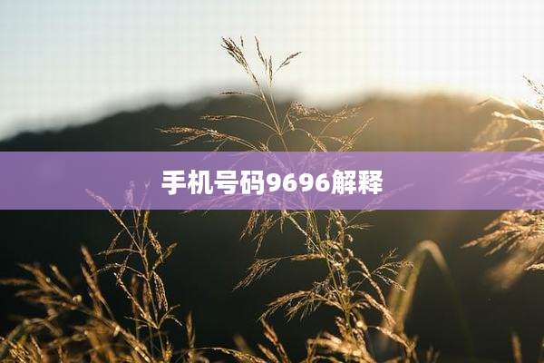 手机号码9696解释