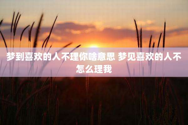 梦到喜欢的人不理你啥意思 梦见喜欢的人不怎么理我