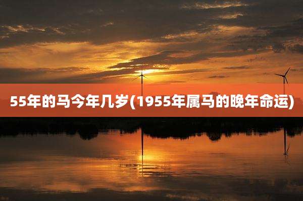 55年的马今年几岁(1955年属马的晚年命运)