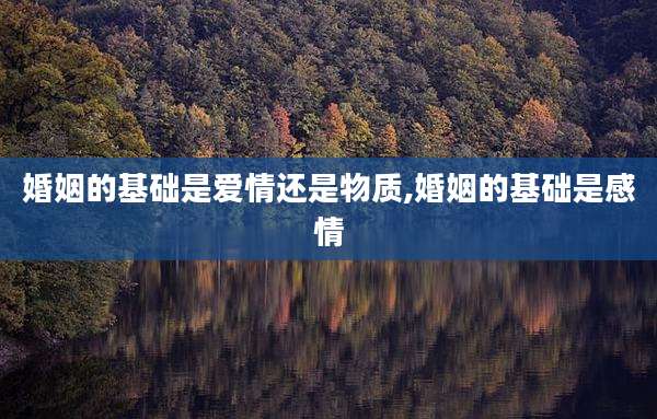 婚姻的基础是爱情还是物质,婚姻的基础是感情