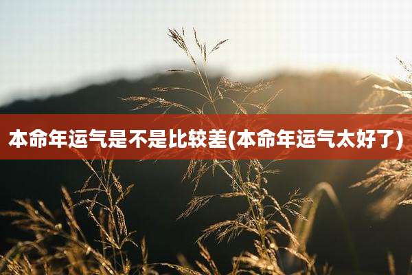 本命年运气是不是比较差(本命年运气太好了)