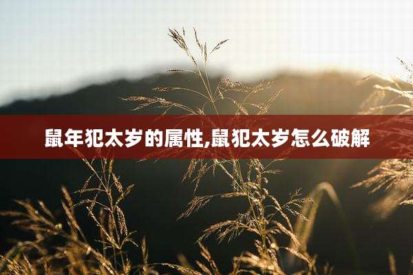 鼠年犯太岁的属性,鼠犯太岁怎么破解