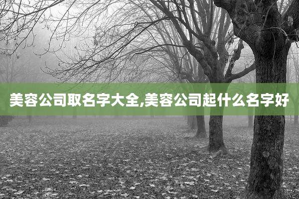 美容公司取名字大全,美容公司起什么名字好
