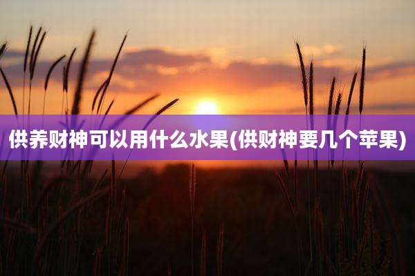 供养财神可以用什么水果(供财神要几个苹果)