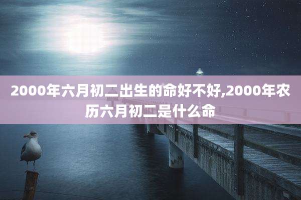 2000年六月初二出生的命好不好,2000年农历六月初二是什么命