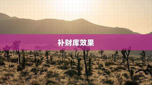 补财库效果