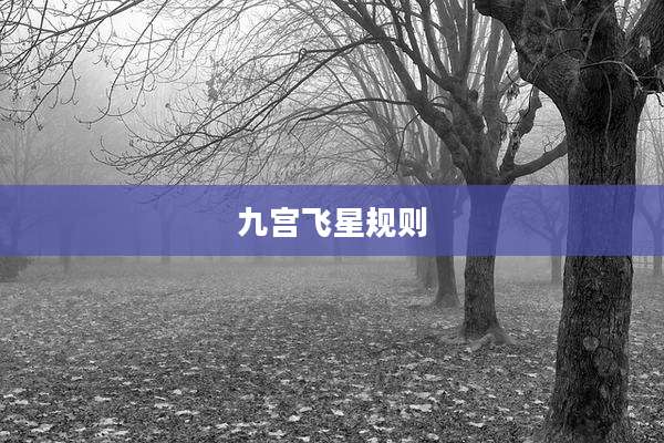 九宫飞星规则