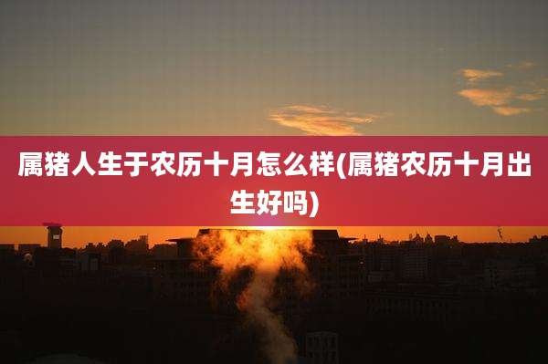属猪人生于农历十月怎么样(属猪农历十月出生好吗)