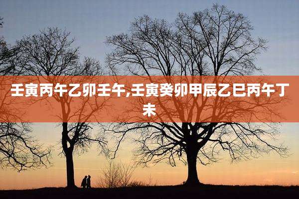 壬寅丙午乙卯壬午,壬寅癸卯甲辰乙巳丙午丁未