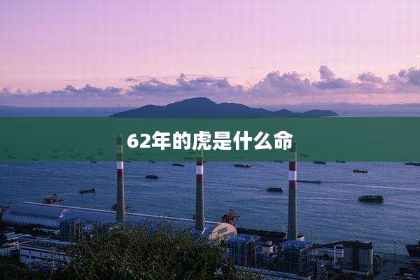 62年的虎是什么命