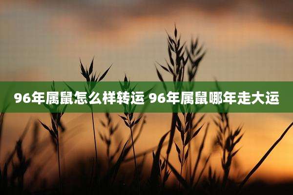 96年属鼠怎么样转运 96年属鼠哪年走大运
