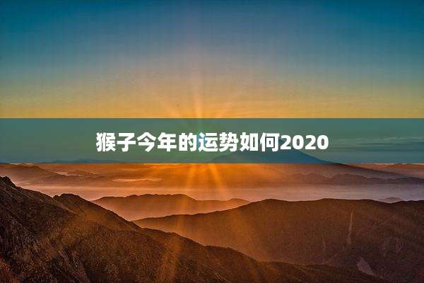 猴子今年的运势如何2020