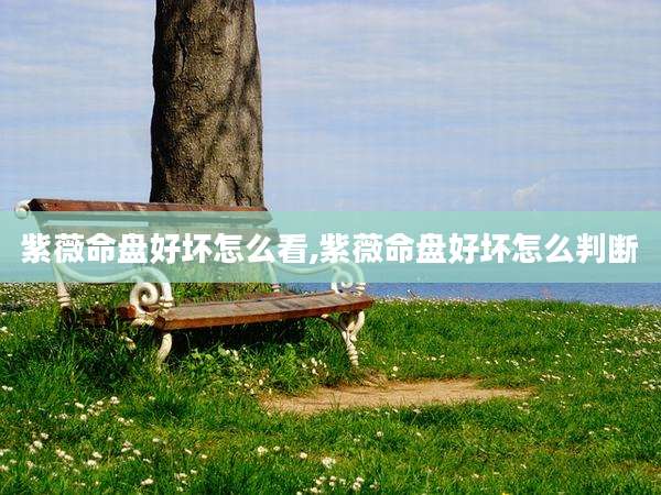 紫薇命盘好坏怎么看,紫薇命盘好坏怎么判断