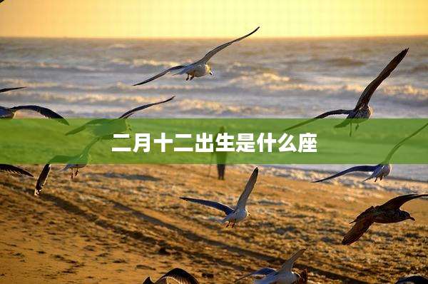 二月十二出生是什么座
