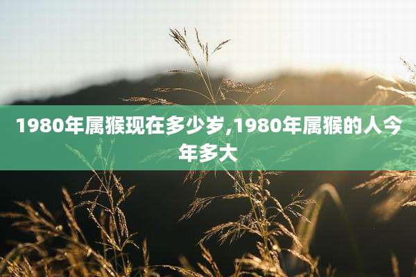 1980年属猴现在多少岁,1980年属猴的人今年多大