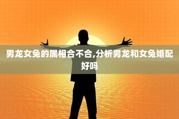男龙女兔的属相合不合,分析男龙和女兔婚配好吗