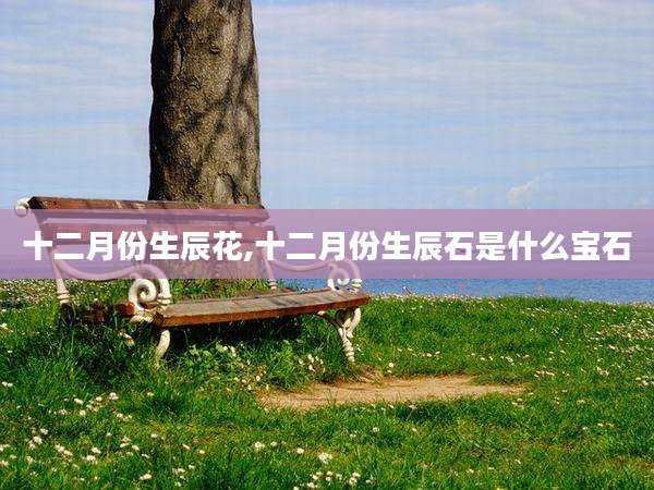 十二月份生辰花,十二月份生辰石是什么宝石