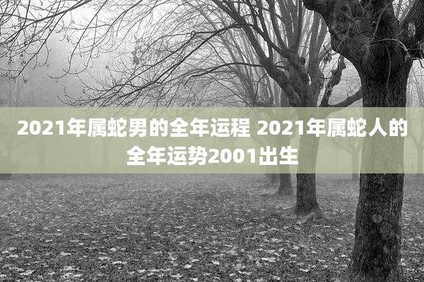 2021年属蛇男的全年运程 2021年属蛇人的全年运势2001出生