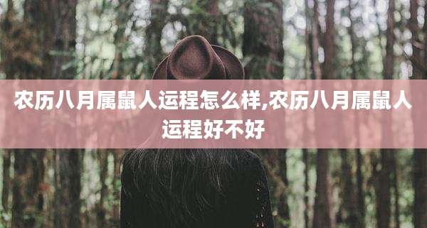 农历八月属鼠人运程怎么样,农历八月属鼠人运程好不好