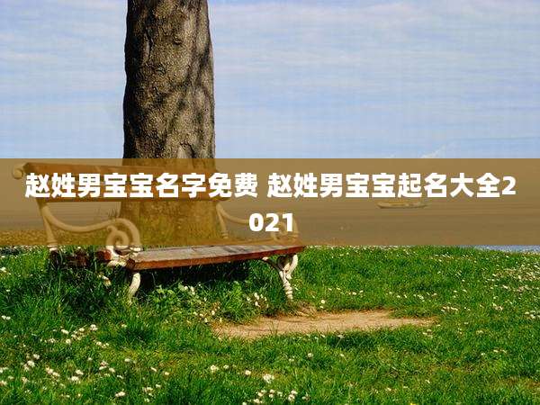 赵姓男宝宝名字免费 赵姓男宝宝起名大全2021