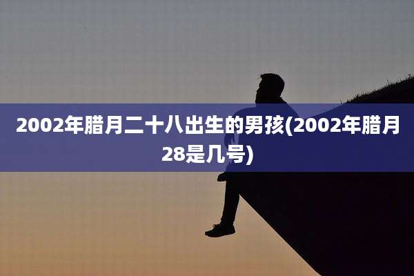 2002年腊月二十八出生的男孩(2002年腊月28是几号)