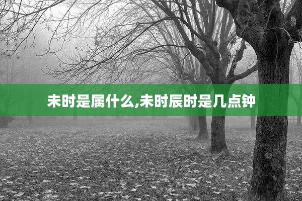 未时是属什么,未时辰时是几点钟