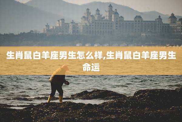 生肖鼠白羊座男生怎么样,生肖鼠白羊座男生命运