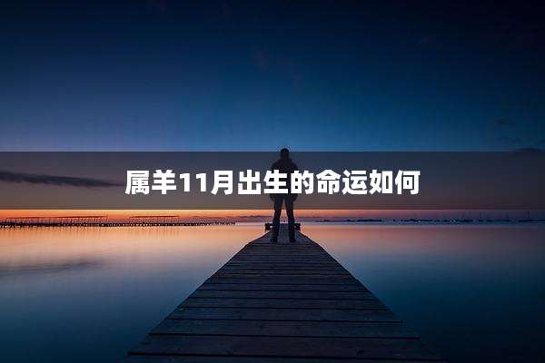 属羊11月出生的命运如何