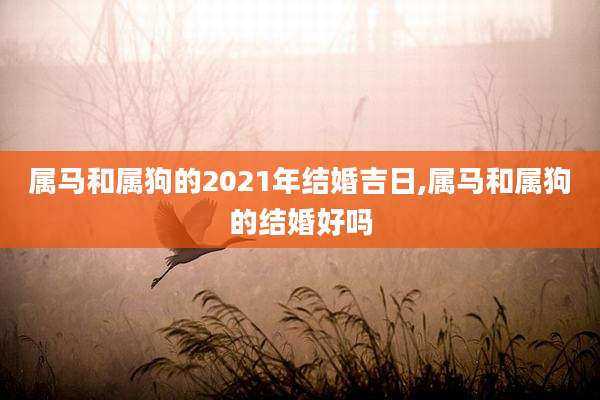 属马和属狗的2021年结婚吉日,属马和属狗的结婚好吗