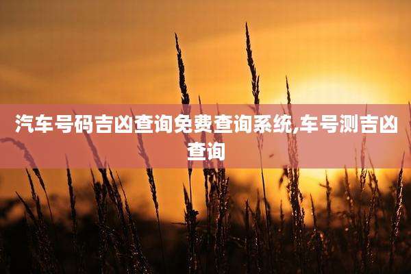 汽车号码吉凶查询免费查询系统,车号测吉凶查询