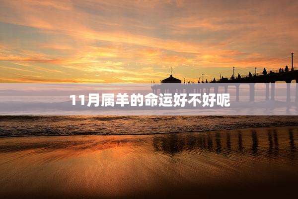 11月属羊的命运好不好呢