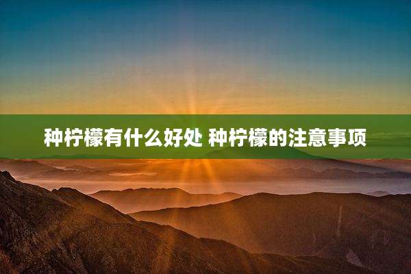 种柠檬有什么好处 种柠檬的注意事项