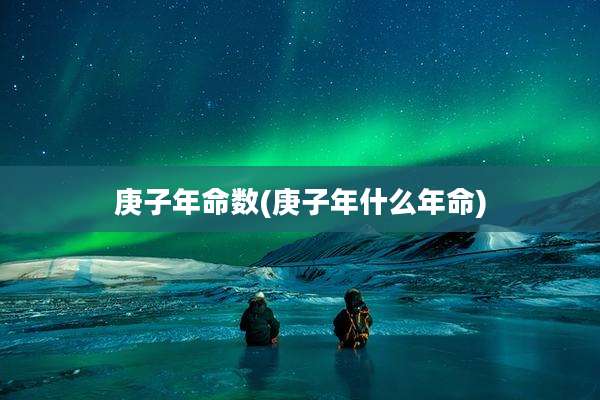 庚子年命数(庚子年什么年命)