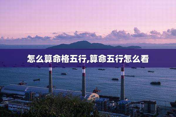怎么算命格五行,算命五行怎么看