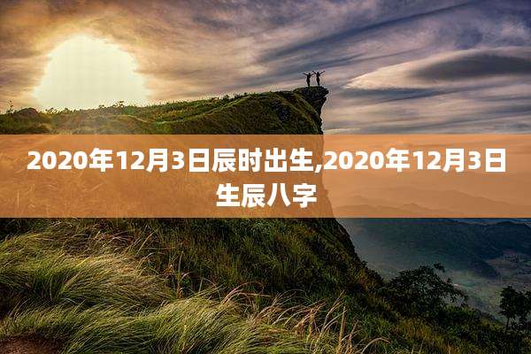 2020年12月3日辰时出生,2020年12月3日生辰八字
