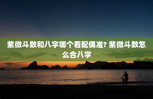 紫微斗数和八字哪个看配偶准? 紫微斗数怎么合八字