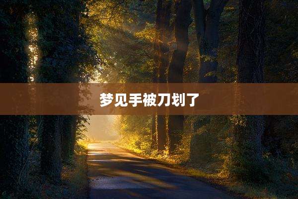 梦见手被刀划了