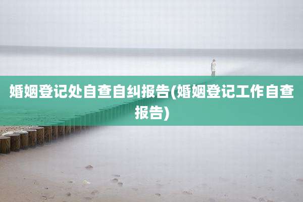 婚姻登记处自查自纠报告(婚姻登记工作自查报告)