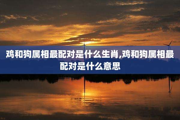 鸡和狗属相最配对是什么生肖,鸡和狗属相最配对是什么意思