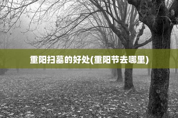 重阳扫墓的好处(重阳节去哪里)