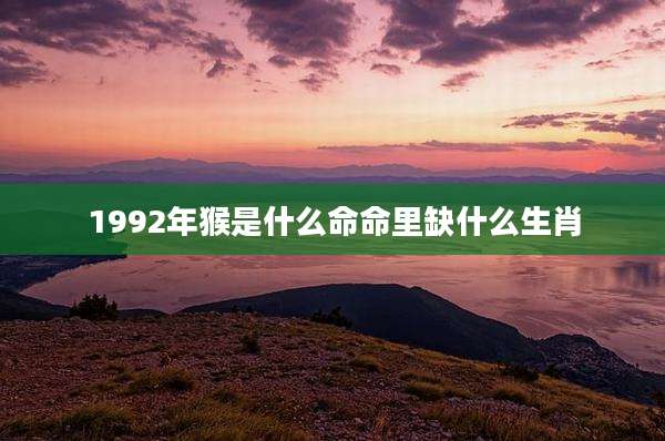 1992年猴是什么命命里缺什么生肖