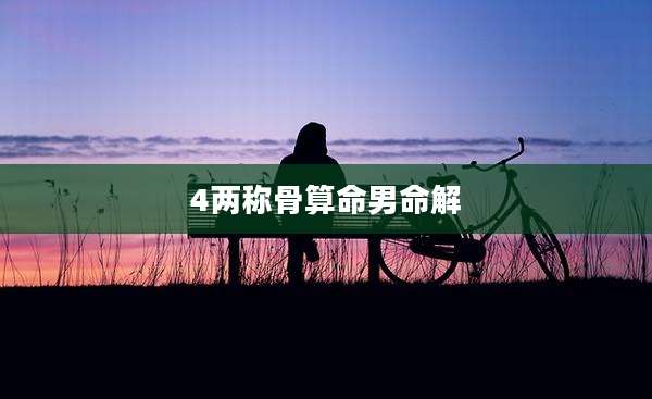 4两称骨算命男命解