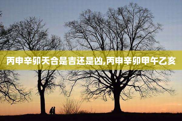 丙申辛卯天合是吉还是凶,丙申辛卯甲午乙亥