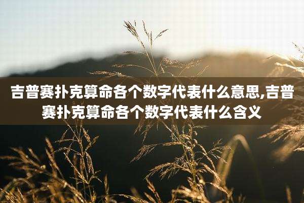 吉普赛扑克算命各个数字代表什么意思,吉普赛扑克算命各个数字代表什么含义