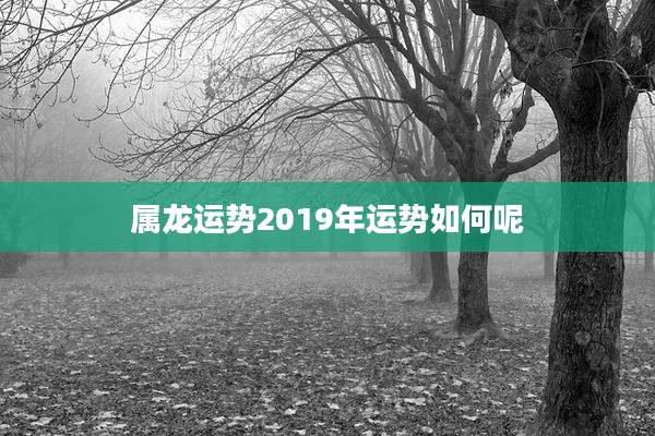 属龙运势2019年运势如何呢