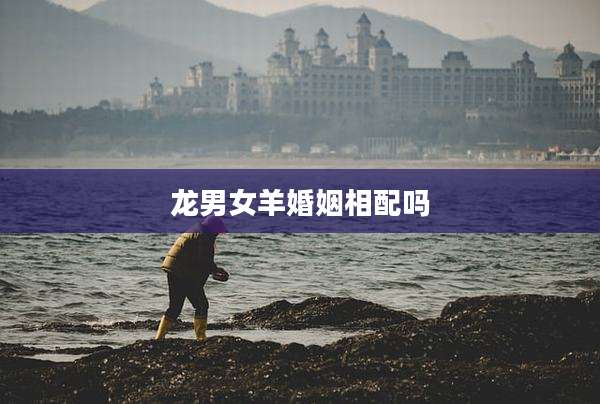 龙男女羊婚姻相配吗
